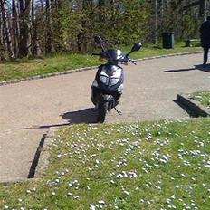 PGO Dr. Big Dømt TOTALSKADET