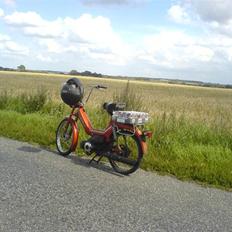 Puch maxi kl (Soolgt)