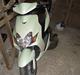 Yamaha jog r  solgt