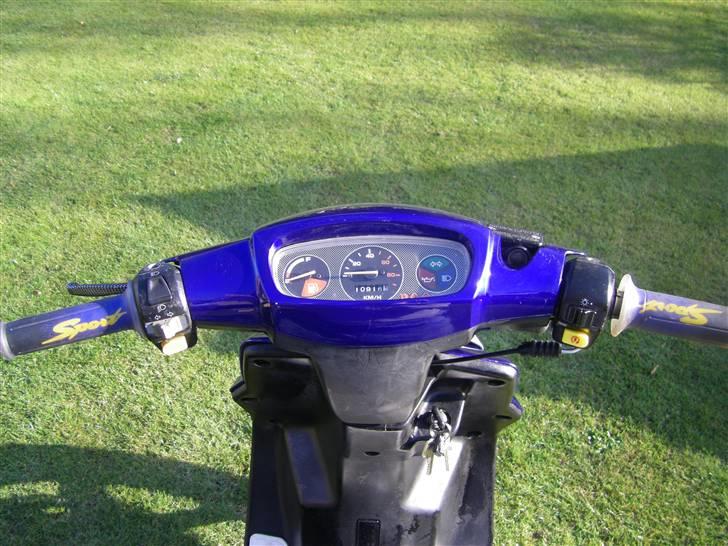 PGO Hot 50 billede 6