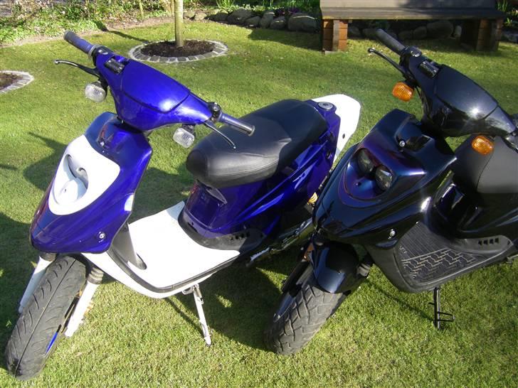 PGO Hot 50 billede 8