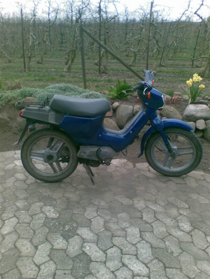 Honda wallaroo (SOLGT) billede 1