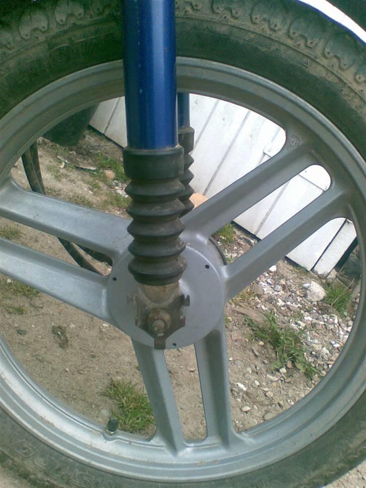 Honda wallaroo (SOLGT) billede 2