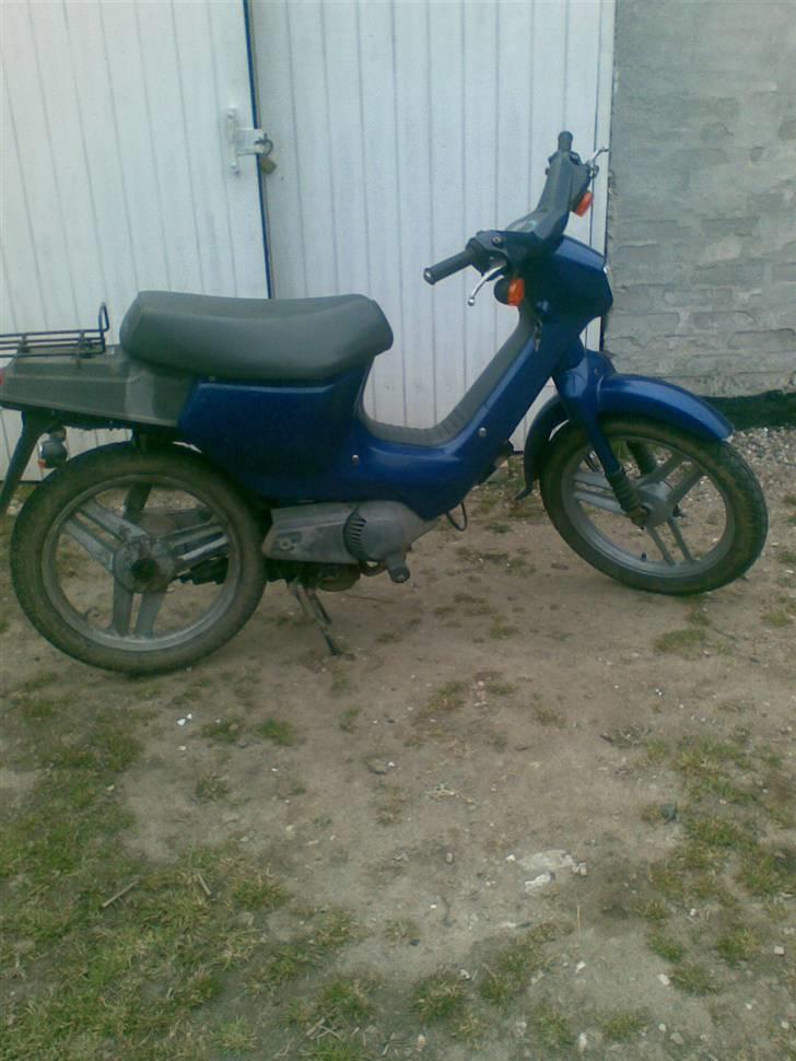 Honda wallaroo (SOLGT) billede 3