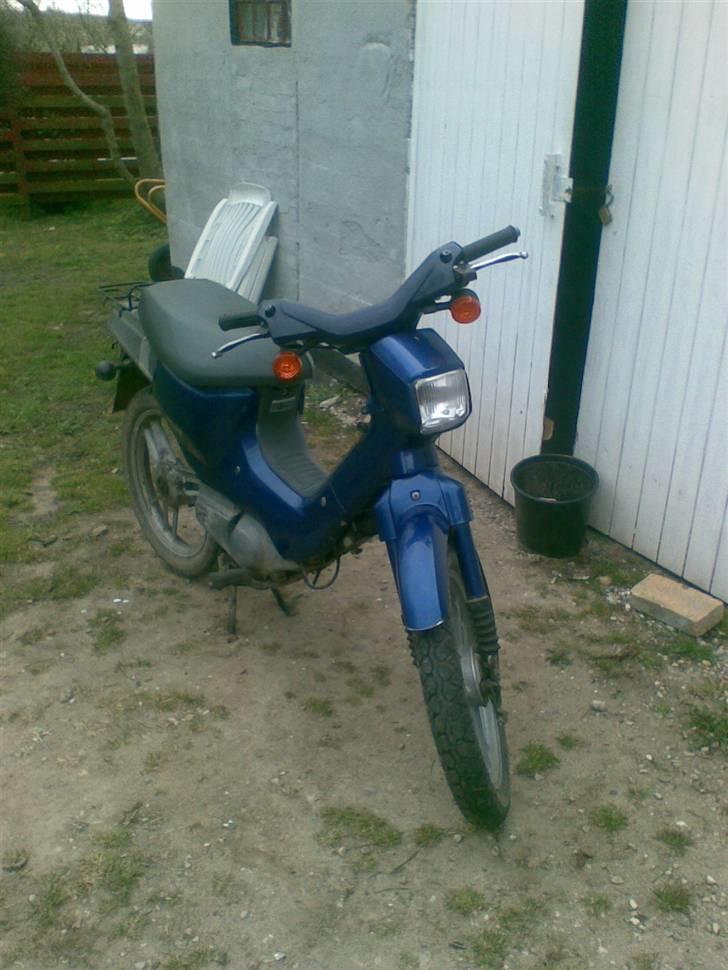 Honda wallaroo (SOLGT) billede 4