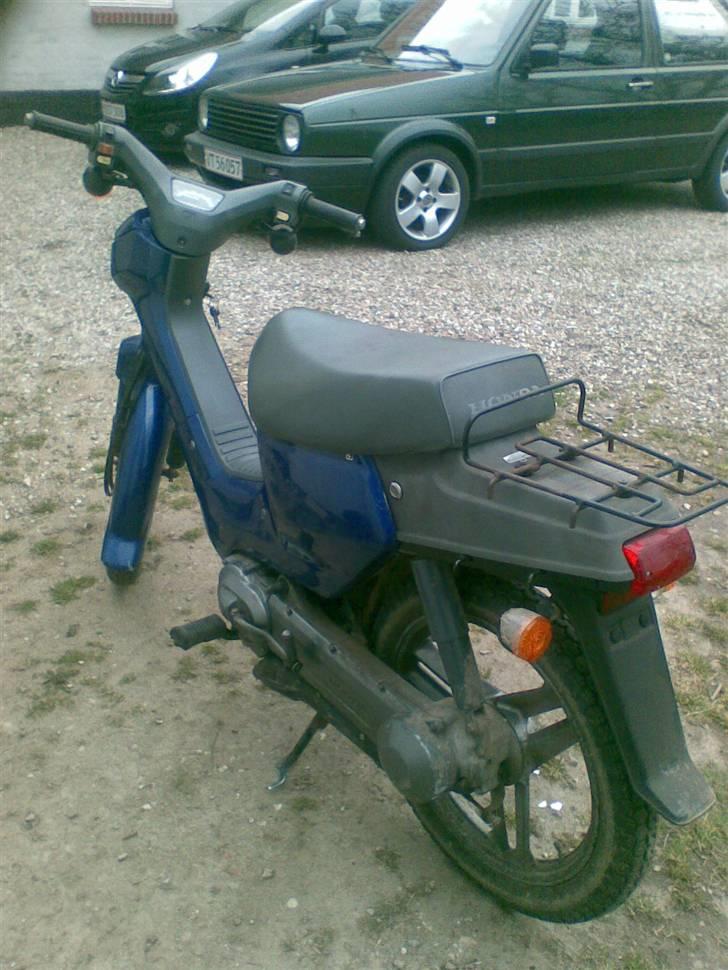 Honda wallaroo (SOLGT) billede 5