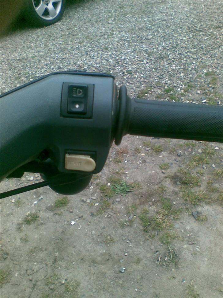 Honda wallaroo (SOLGT) billede 6