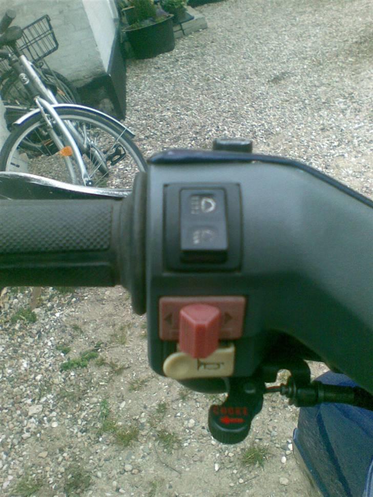 Honda wallaroo (SOLGT) billede 7