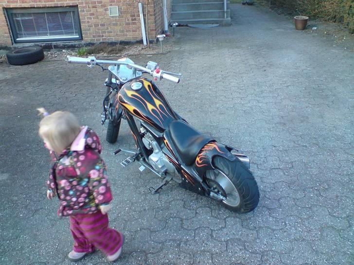 Honda Mini Harley :-) billede 5