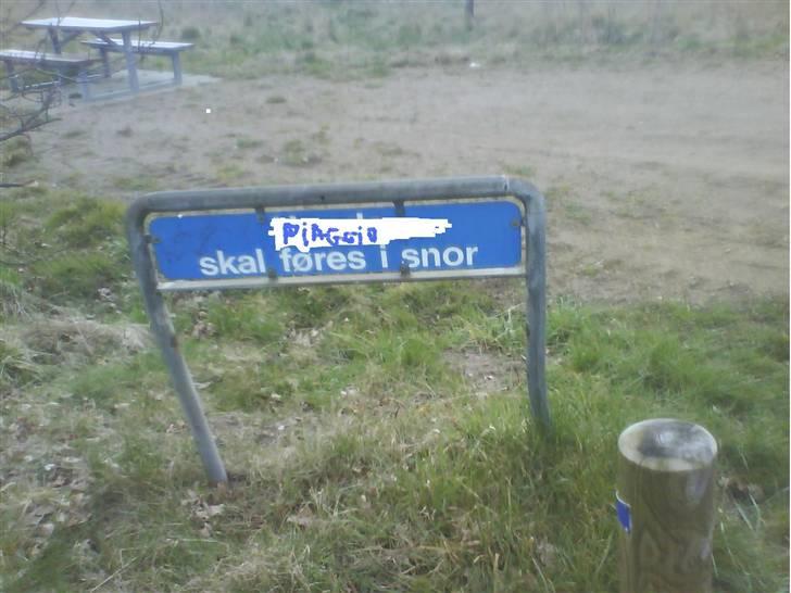 Piaggio typhoon 40 procent færdi billede 9