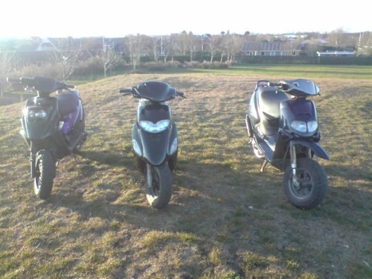 Honda Sfx PerlemorSort <Solgt> billede 16