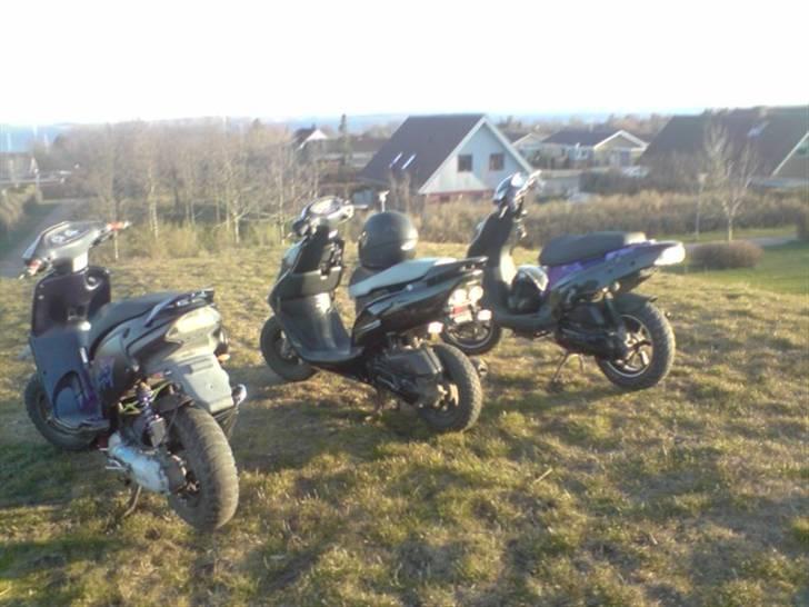 Honda Sfx PerlemorSort <Solgt> billede 17