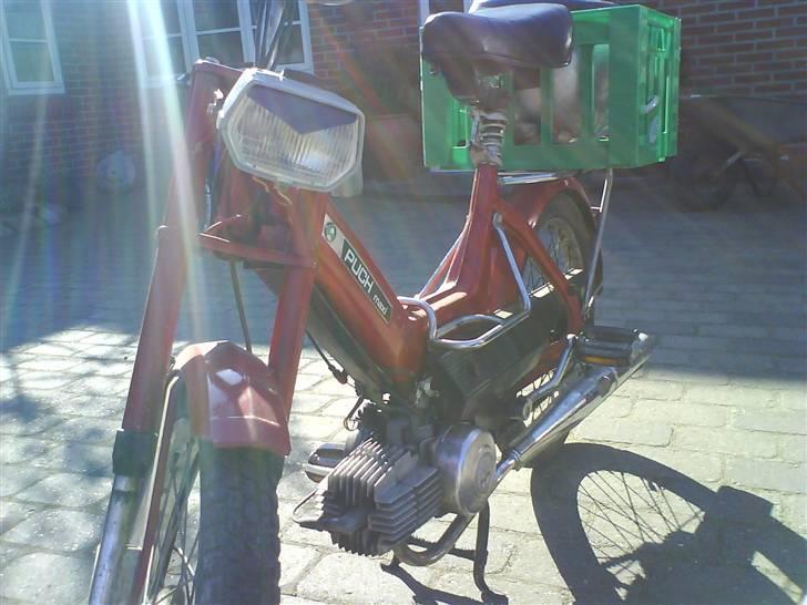 Puch Maxi P billede 2