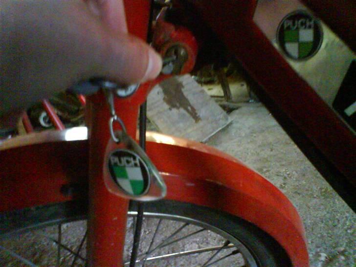 Puch Maxi P billede 12