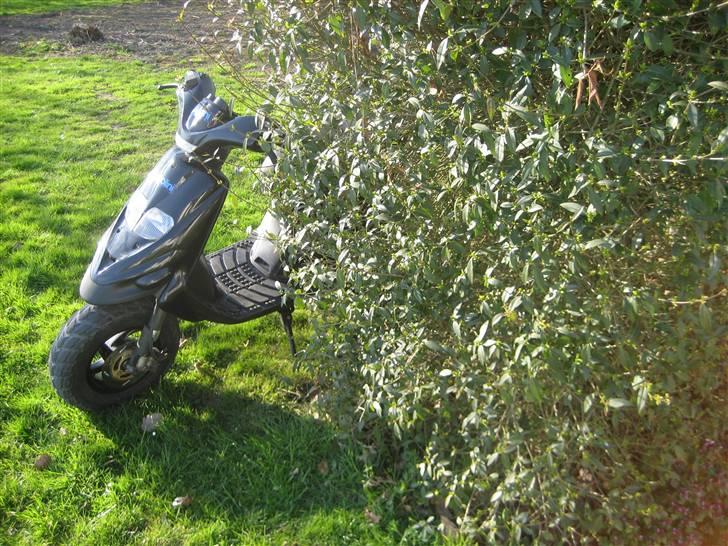 Gilera Stalker SOLGT billede 1