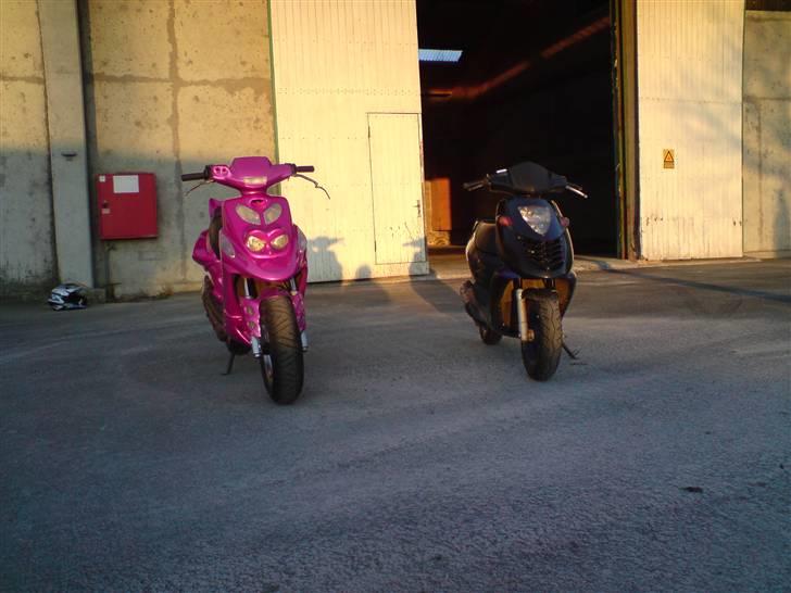 Aprilia Sonic GP billede 15