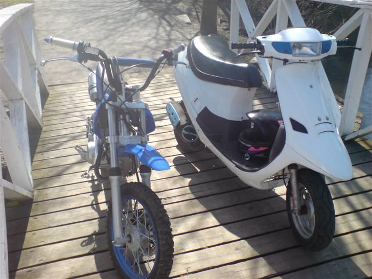 MiniBike crosser 125ccm  solgt - min og tolkas ved den hvide bro ha billede 9