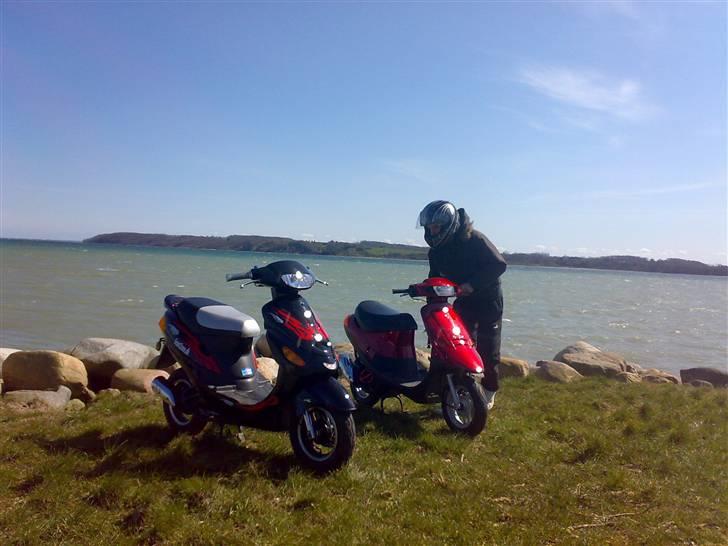 PGO Comet AC SD (Totalskadet) - udsigt ud over lillebælt. billede 10