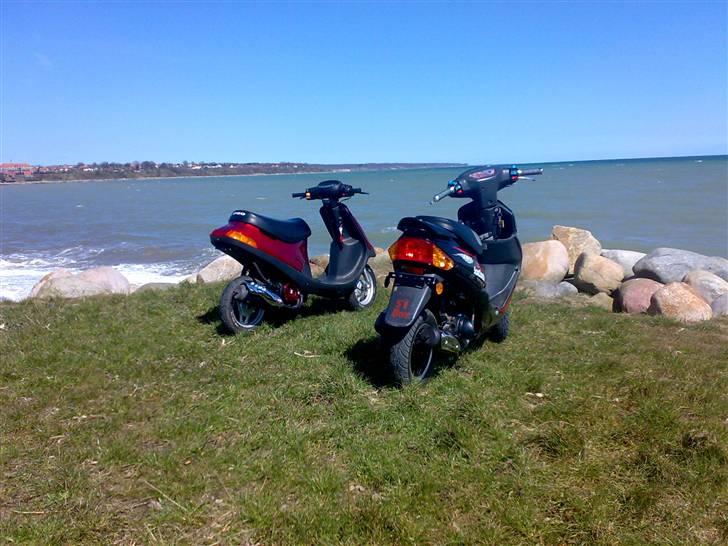 PGO Comet AC SD (Totalskadet) - udsigt ud over lillebælt. billede 13