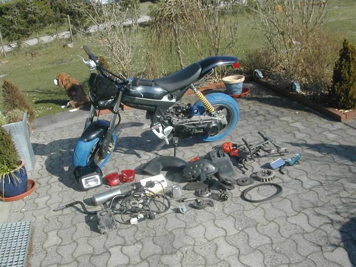 Suzuki Streetmagic - solgt billede 9