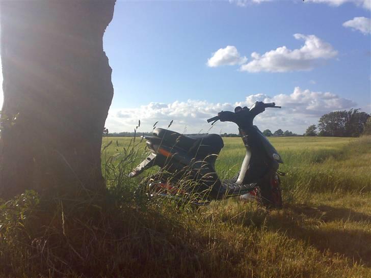 Gilera Stalker TILSALG!! - mums billede 3