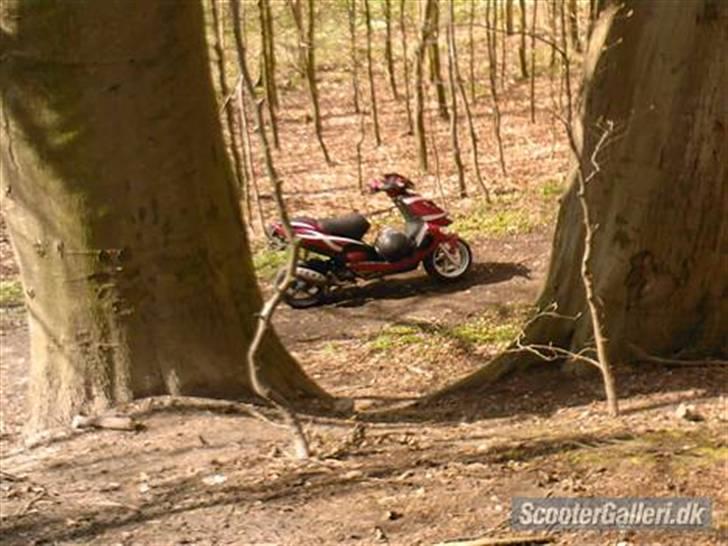 Aprilia sr 50 DITECH - SOLGT! billede 3