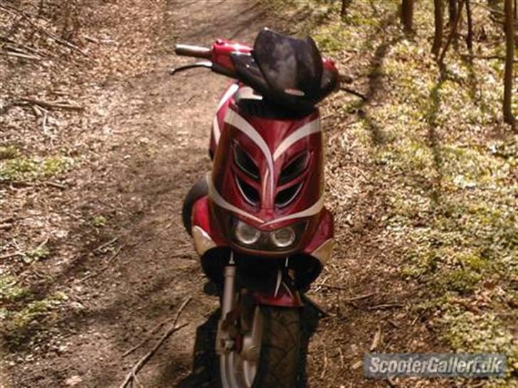 Aprilia sr 50 DITECH - SOLGT! billede 5