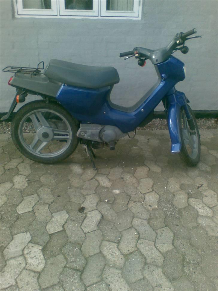 Honda wallaroo (SOLGT) billede 8