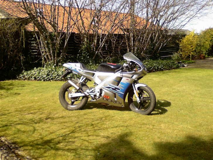 Derbi Gpr 50 (solgt) billede 1