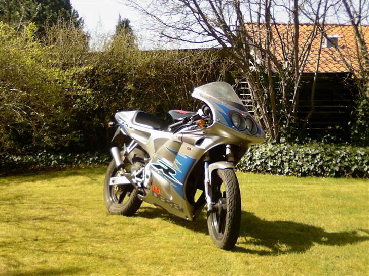Derbi Gpr 50 (solgt) billede 2
