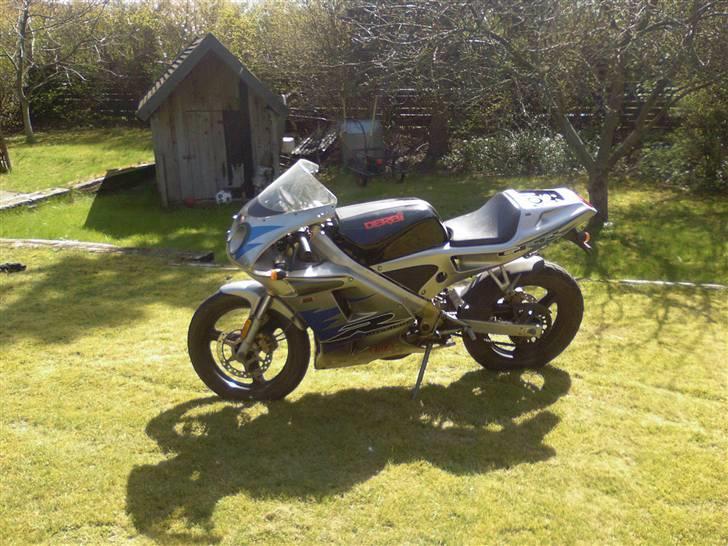 Derbi Gpr 50 (solgt) billede 4