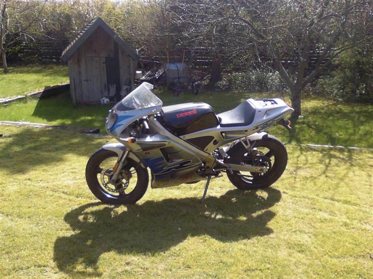 Derbi Gpr 50 (solgt) billede 5