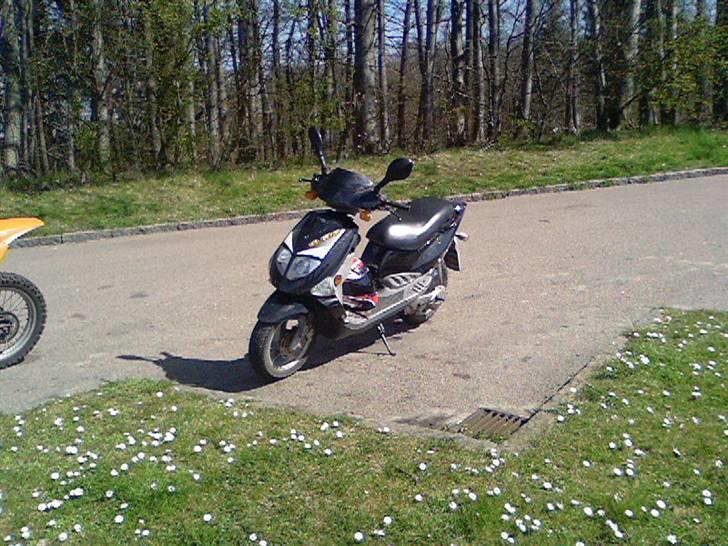 PGO Dr. Big Dømt TOTALSKADET billede 1