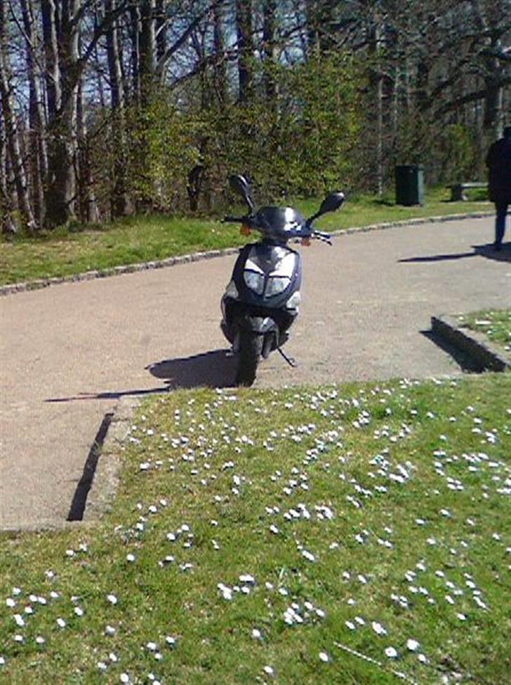 PGO Dr. Big Dømt TOTALSKADET billede 2