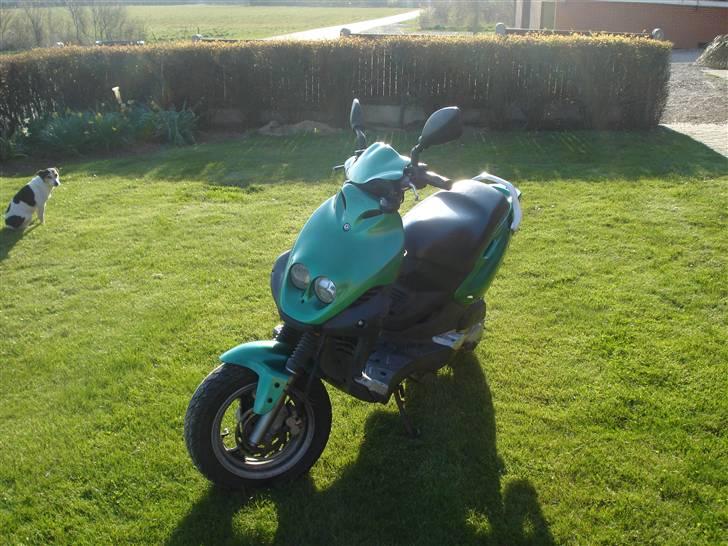 PGO pmx sport solgt billede 17