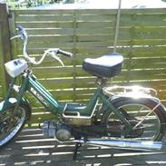 Puch maxi              Projekt