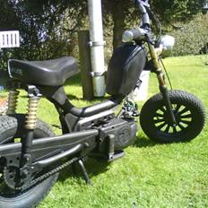Rizzato mini rat bike