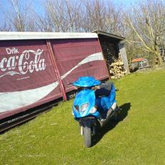 PGO T - Rex # SOLGT #