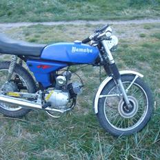 Yamaha FS1 - Byttet til Skyline