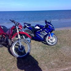 Suzuki rmx (solgt til bette)