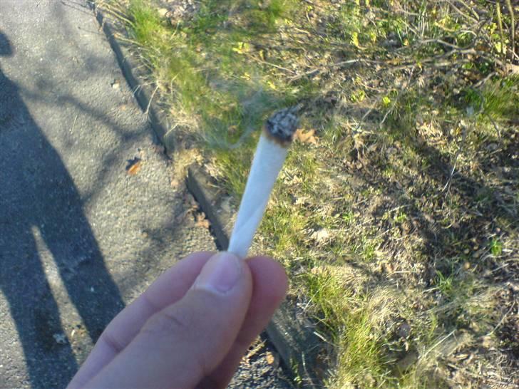 MiniBike Pocketcrosser [SOLGT] - en lille fed :D billede 19