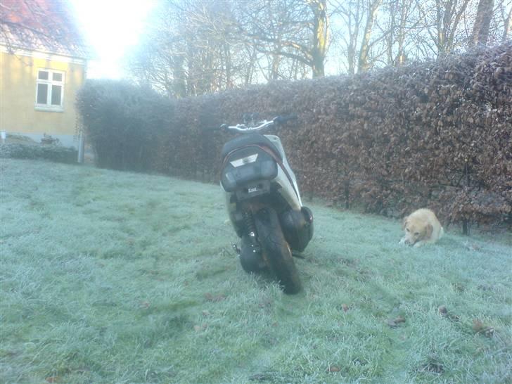 Yamaha Jog "Fisse lise" SOLGT billede 8