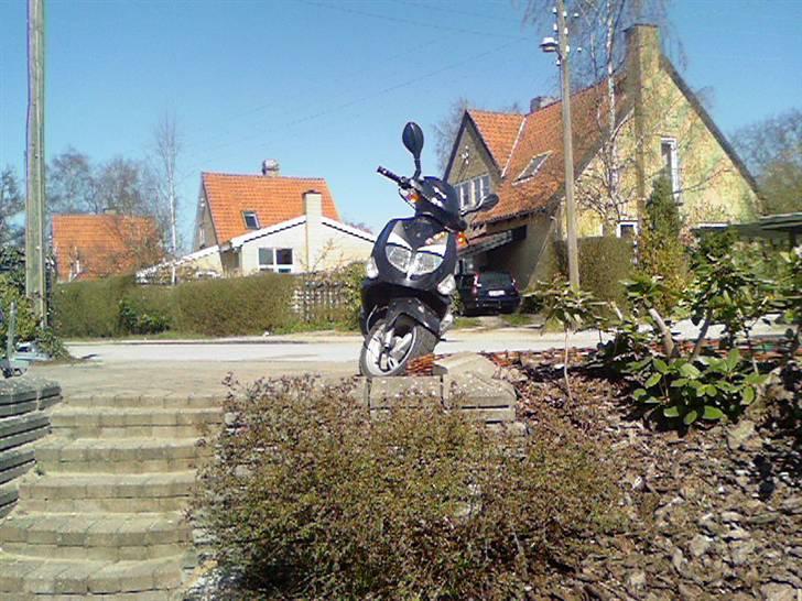 PGO Dr. Big Dømt TOTALSKADET - Der hjemme..... billede 3