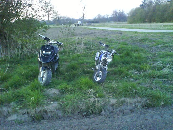 Skyteam Monkey (Solgt!) billede 14