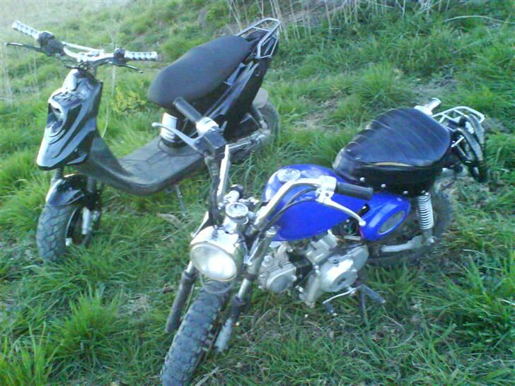 Skyteam Monkey (Solgt!) billede 15