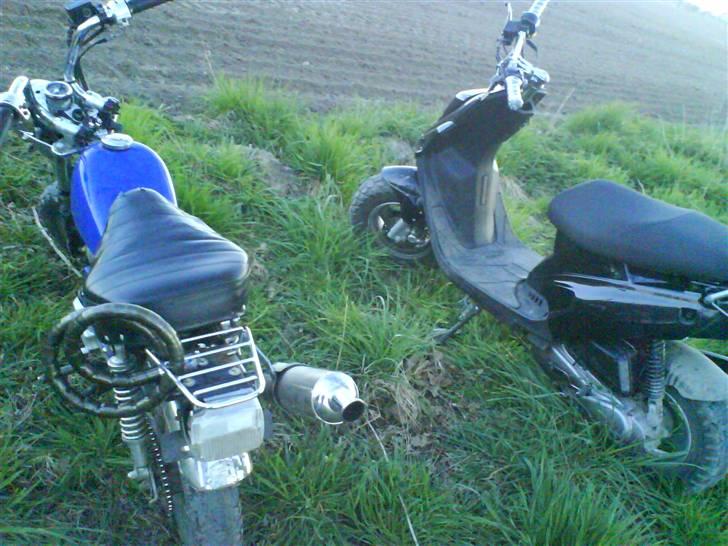 Skyteam Monkey (Solgt!) billede 16