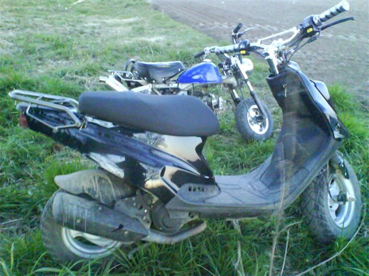 Skyteam Monkey (Solgt!) billede 17