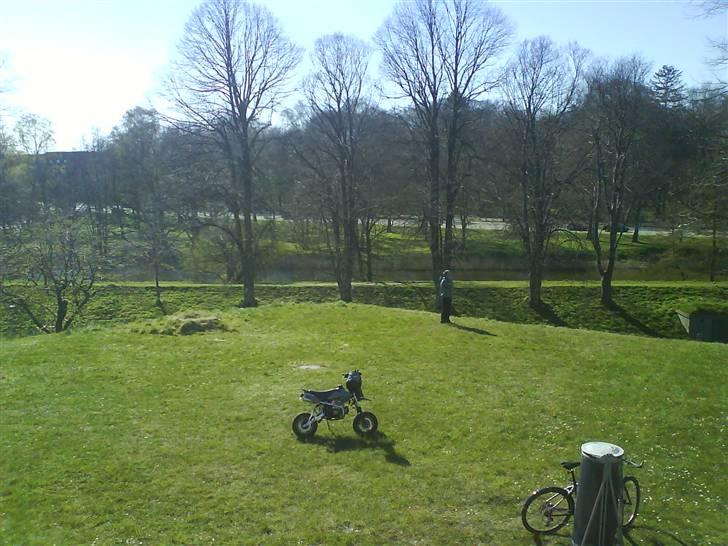 Shineray Motard Solgt billede 14