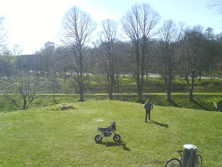 Shineray Motard Solgt billede 15