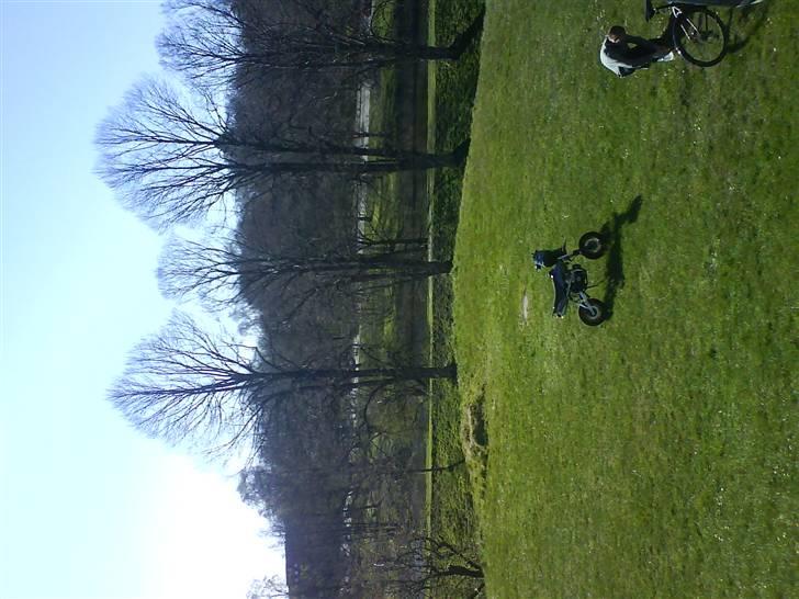 Shineray Motard Solgt billede 16